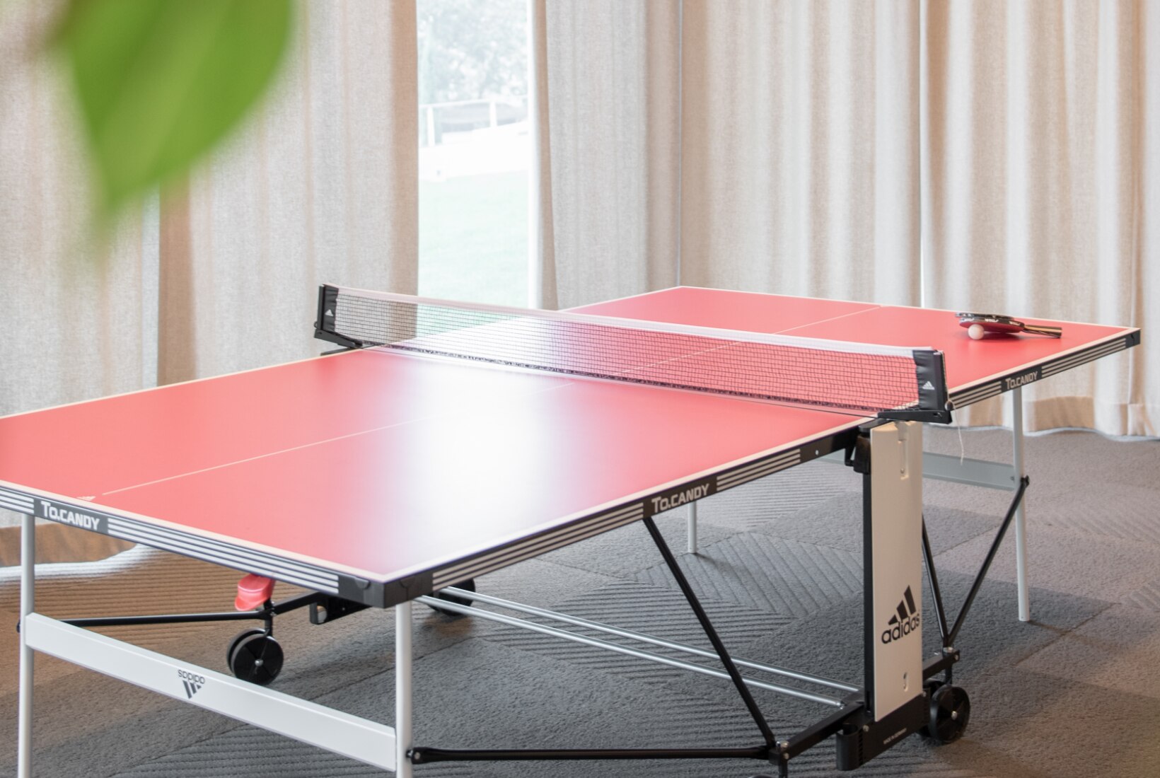 Neues Zuhause und frischer Auftritt