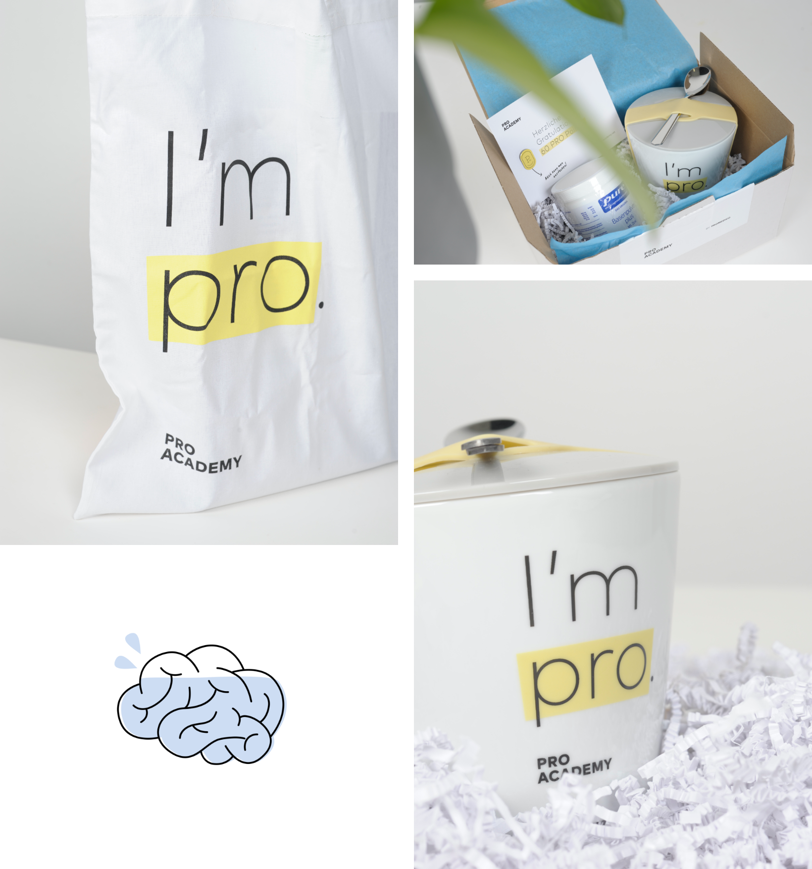 PRO Points Box